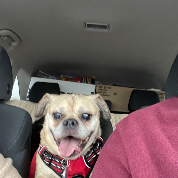 Meet your Posher, Leslie - Picture 11 of 13